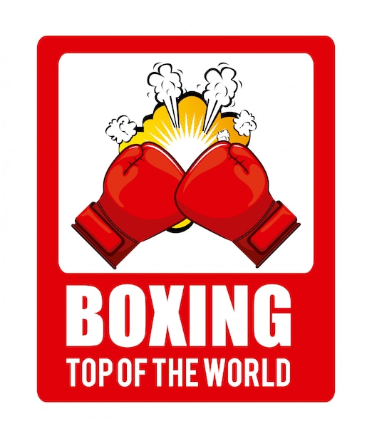 Boxing sport