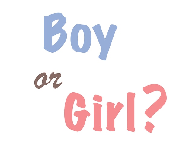 Boy or girl. He or she. The concept of the birth of a child, gender party, holidays