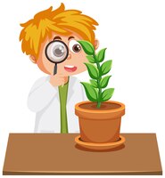 Boy research on a plant using magnifying glass