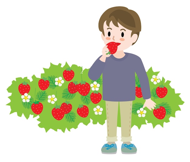 The boy who does strawberry picking