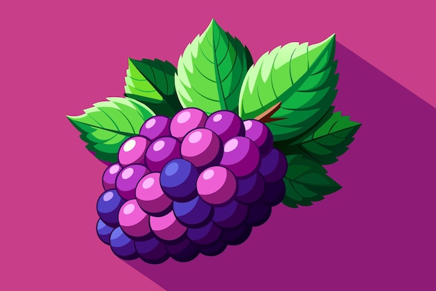 Vector boysenberry fruit background