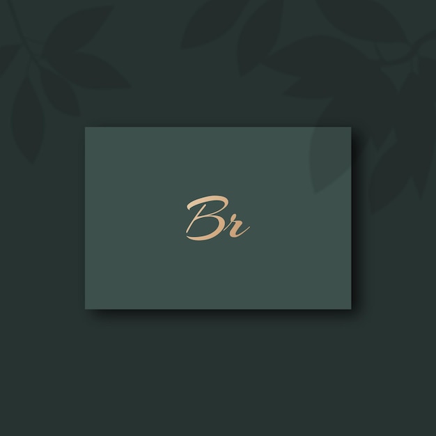 Векторное изображение дизайна логотипа Br
