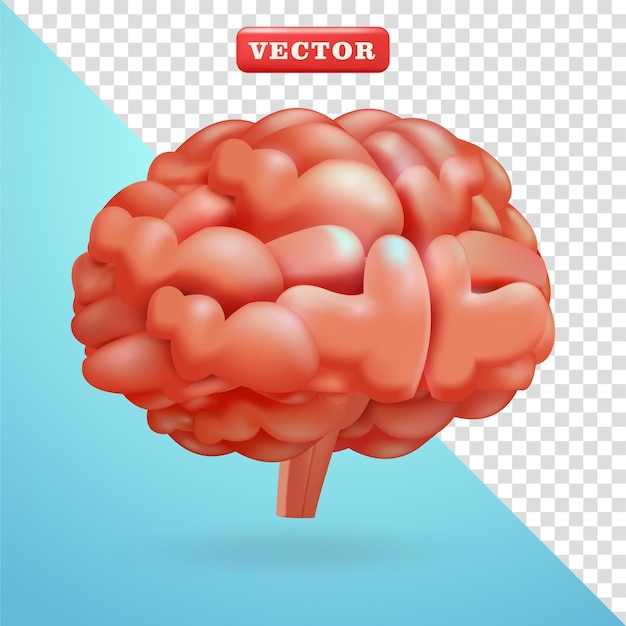 Brain 3d elements