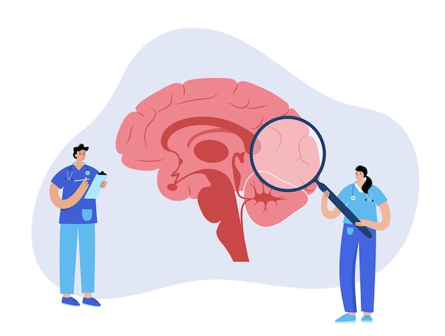 Мозг и неврология