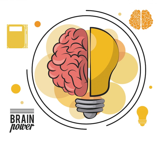 Brain and bulb light concept 