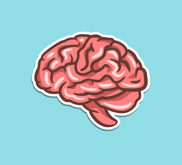 Brain cartoon icon illustration education object icon concept Brain human anatomy biology cartoon art