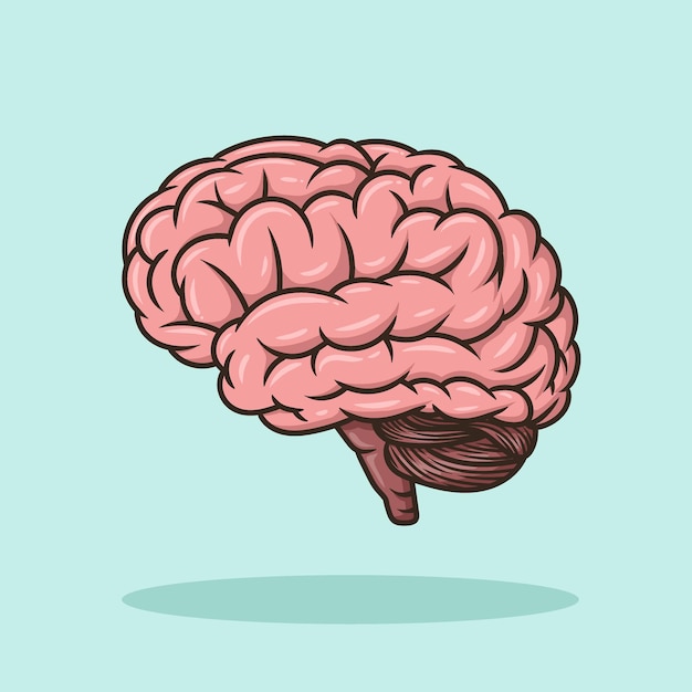 Brain education object concept cartoon icon vector