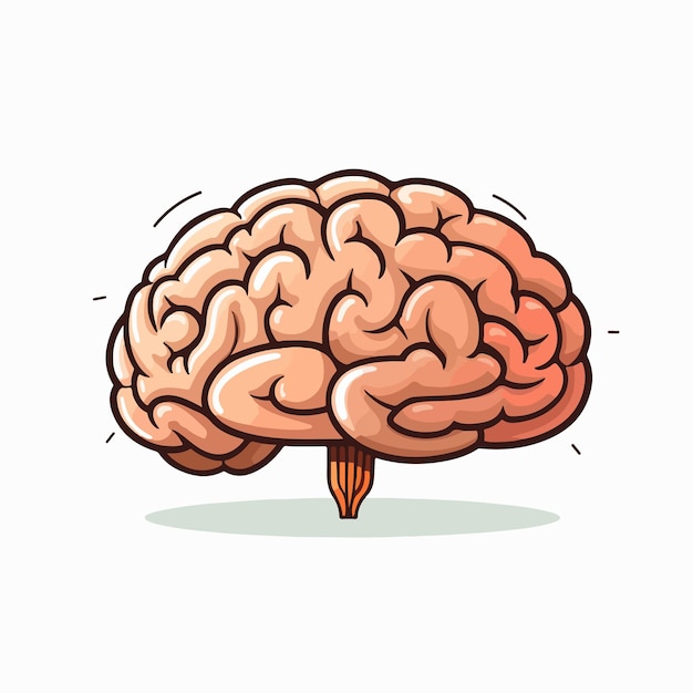 Vector brain flat vector illustration brain hand drawing isolated vector illustration