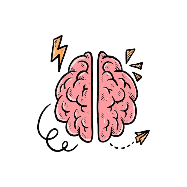 brain hand drawn illustration vector