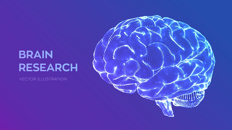 Vector brain. human brain research