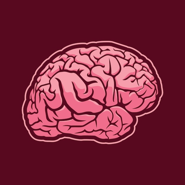 Brain illustration design