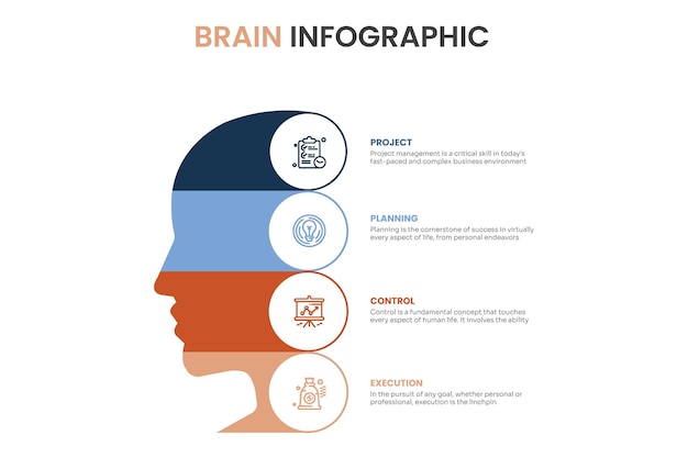 Brain infographic template with graph and different options vector