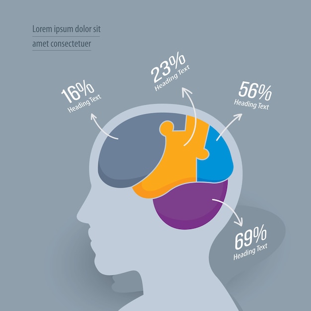 Vector brain infographic