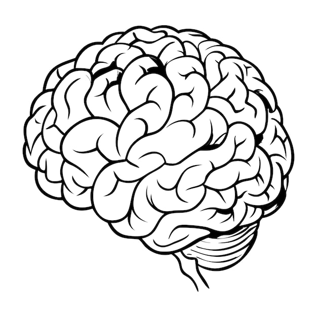 brain internal organs icon on a white background one line
