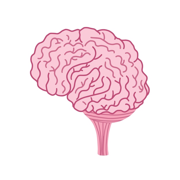 의료 지문에 대 한 만화 스타일 인간의 내부 장기에서 뇌 고립 된 요소
