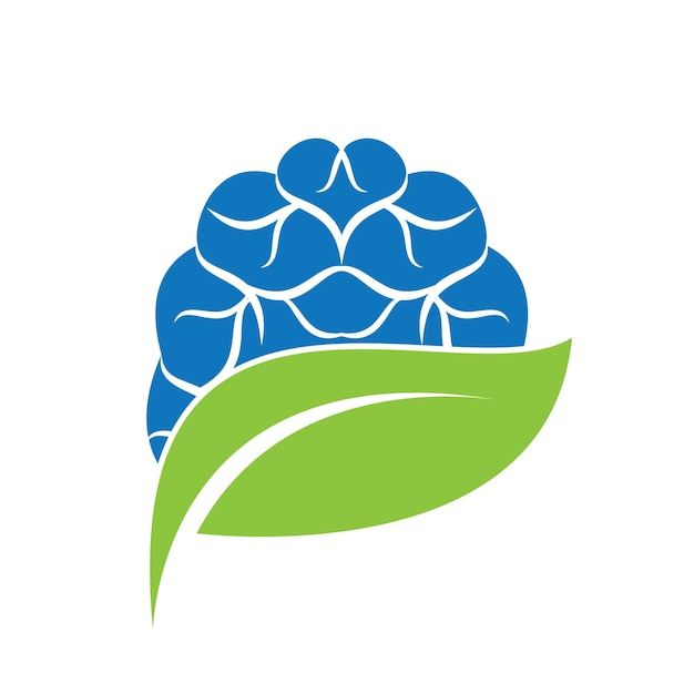 Brain and leaf logo combination vector design Organic brain logo vector design