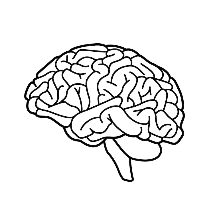 Vector brain or mind side view line art vector icon for medical apps and websites