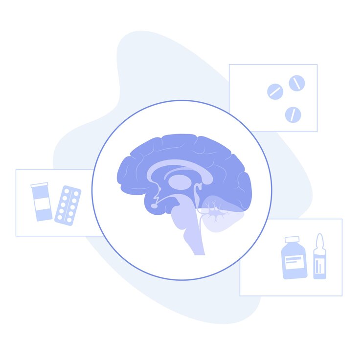 Vector brain and neurology