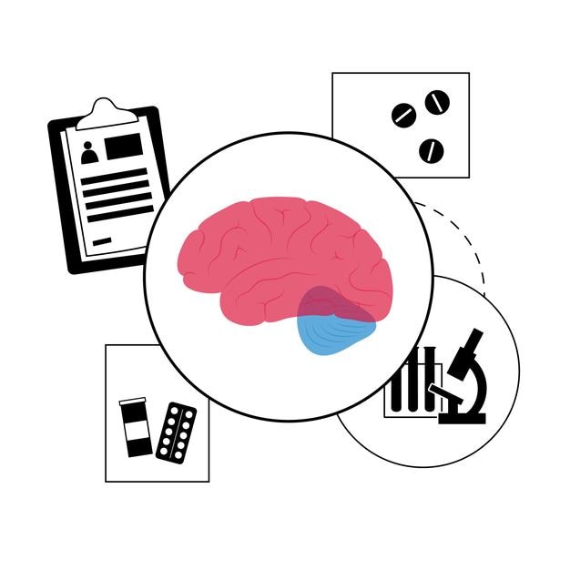 Brain and neurology