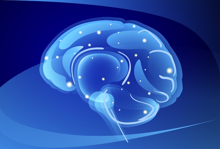 Vector brain neurons activity