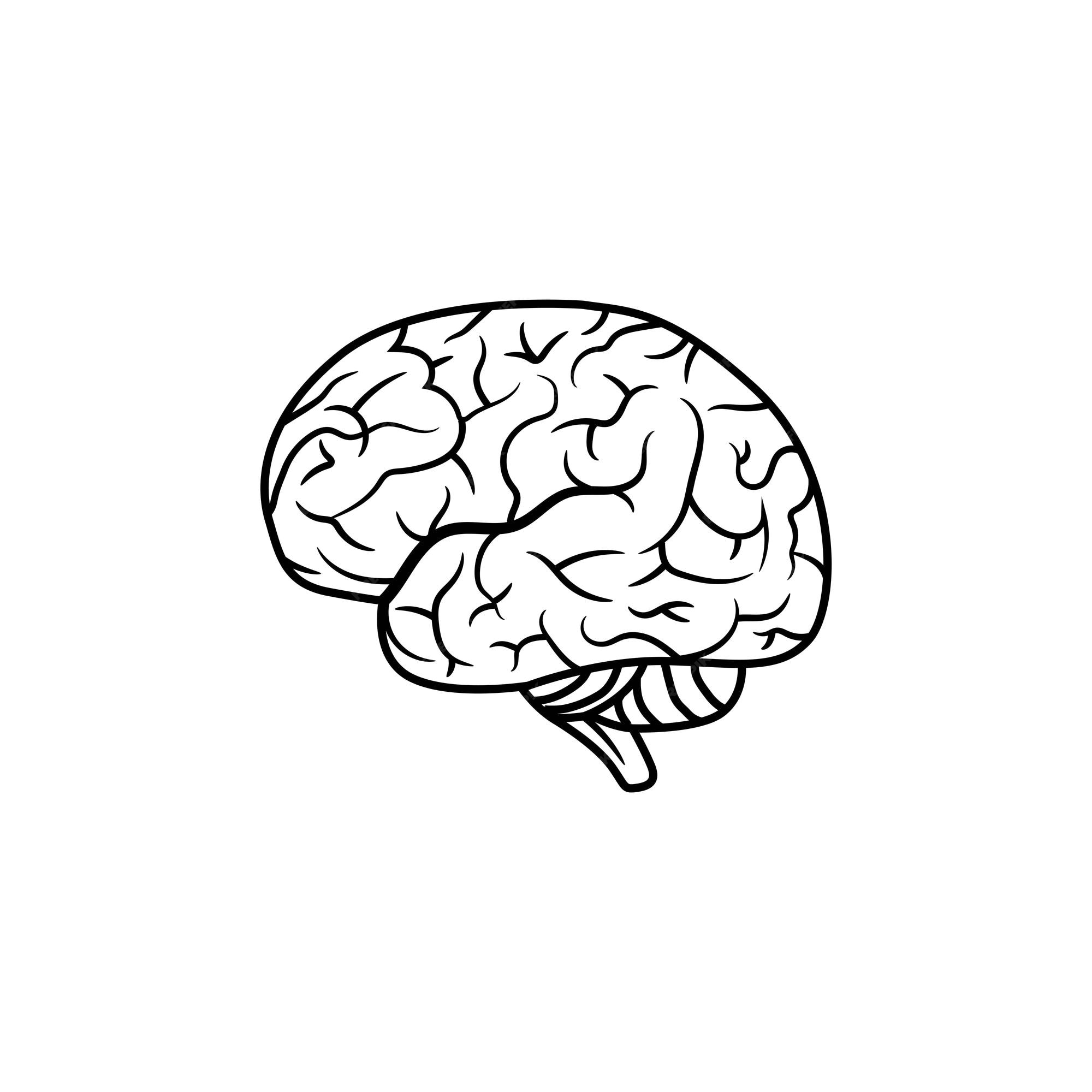 Premium Vector | Brain side view clipart line art