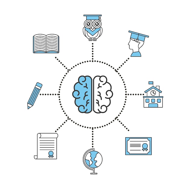 Vettore illustrazione di informazioni studente cervello