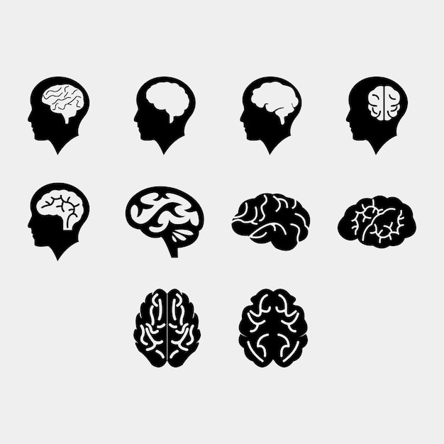 Brain Vectors