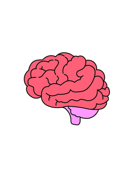 Vector brain