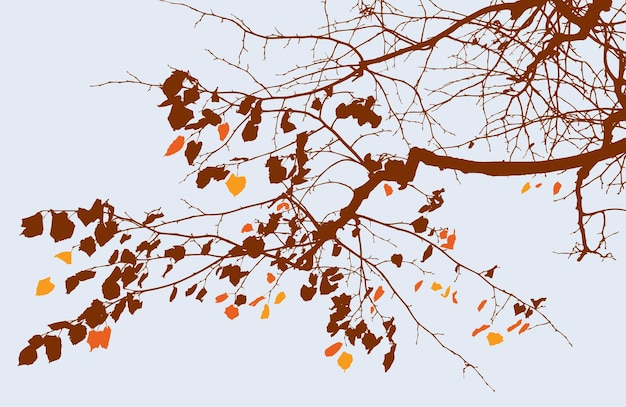 Vector branch of autumn tree