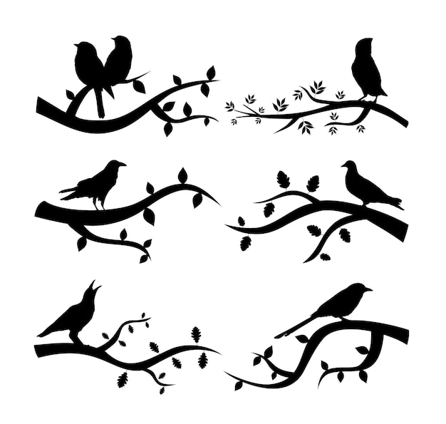 Vector branch bird vector silhouette