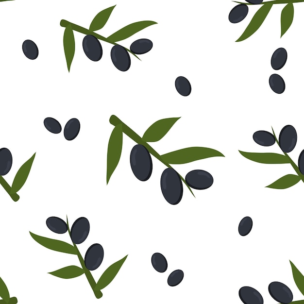 Branch of black olive oil pattern vector illustration