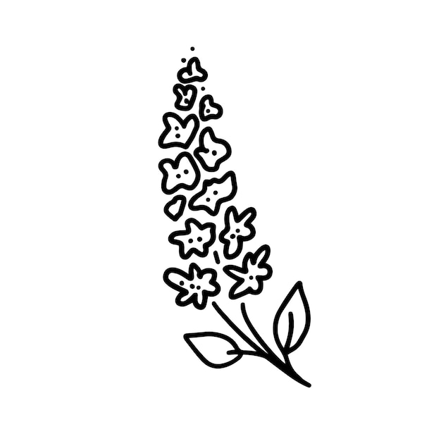 Branch of blooming lilac with leaves. vector image on a transparent background.