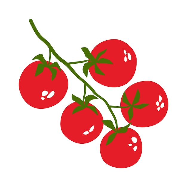 Branch of bright juicy cherry tomatoes