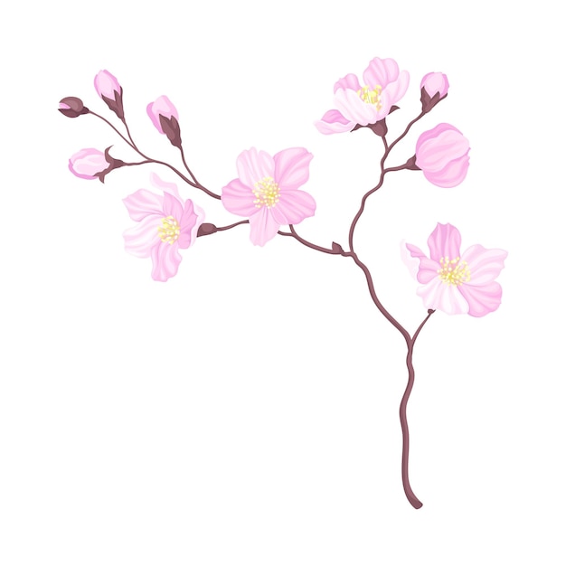 Branch of Cherry Blossom with Tender Pink Flowers Vector Illustration