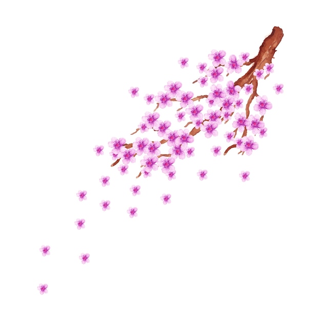 Vector a branch of cherry blossoms with pink petals.