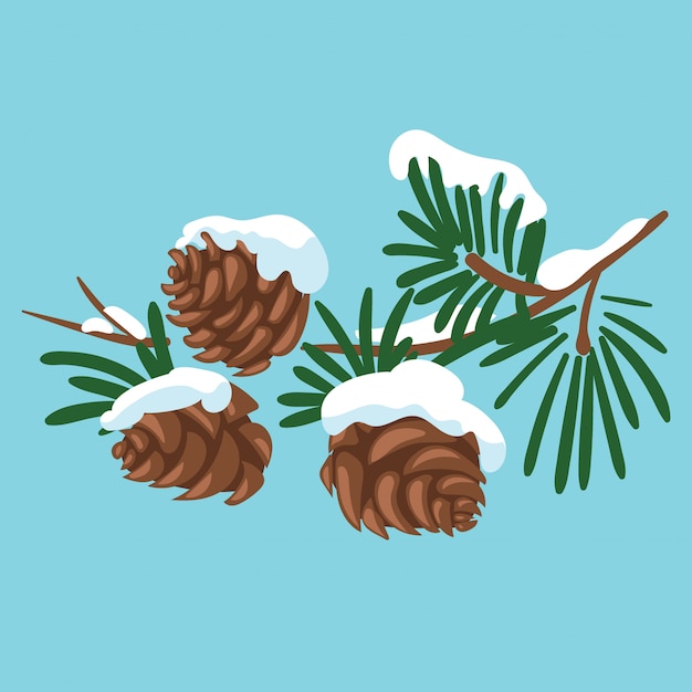 Vector branch of a christmas tree with cones. a cartoon branch of fir trees with snow. winter illustration for children.