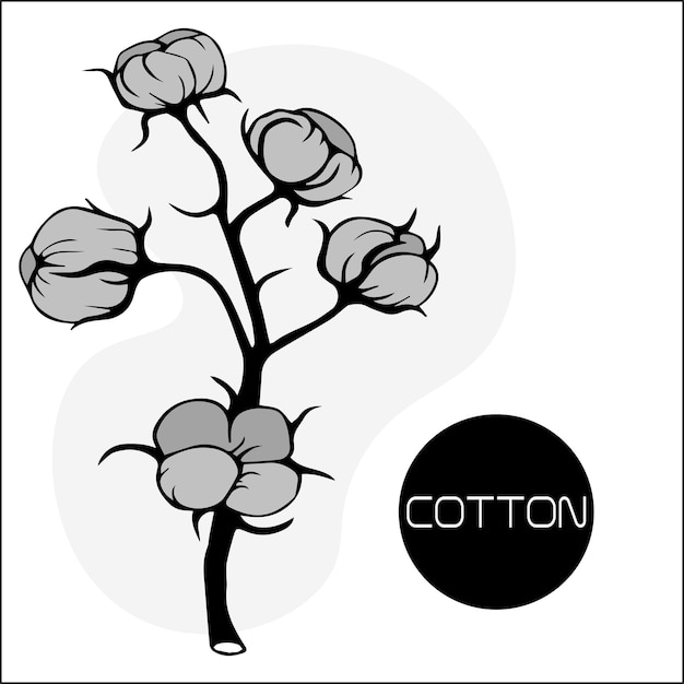 Branch of cotton with flowers and tangles wildflowers with stems floral and in sketch style isolated