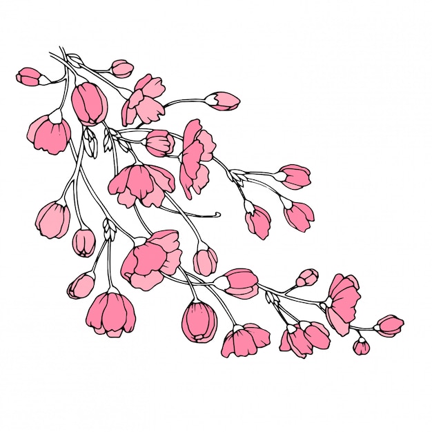 Vector branch full of sakura flowers