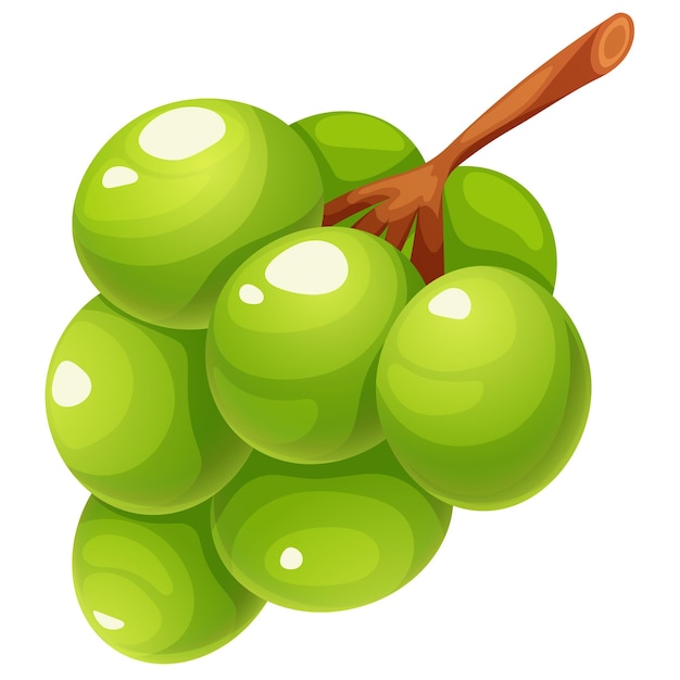 Premium Vector | Branch of green grapes kishmish cartoon on transparent
