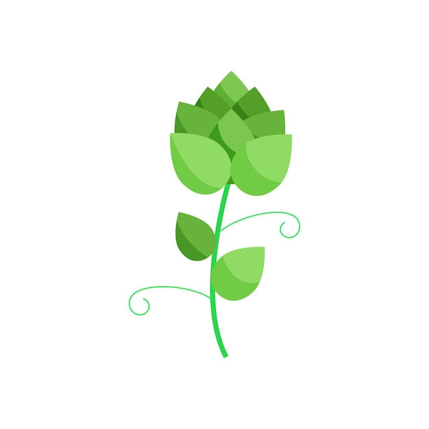 Branch of hops icon in cartoon style on a white background