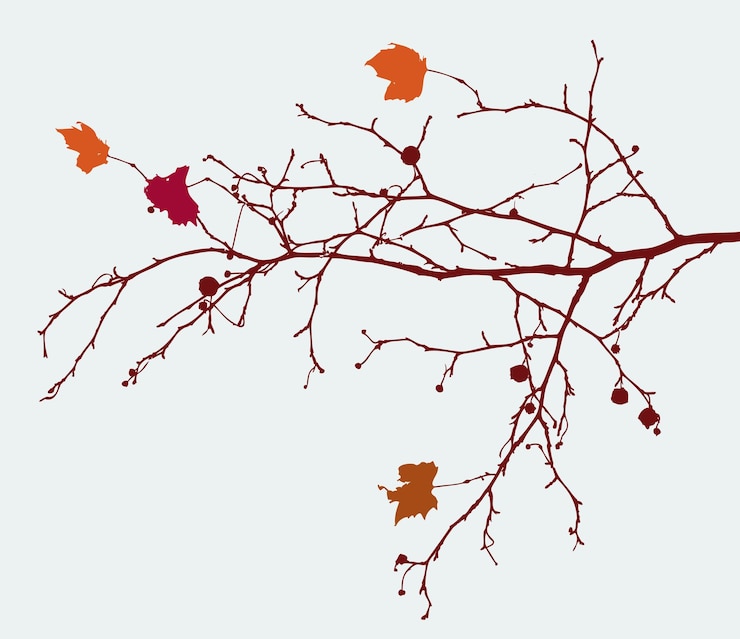 Vector branch of maple tree with autumn leaves