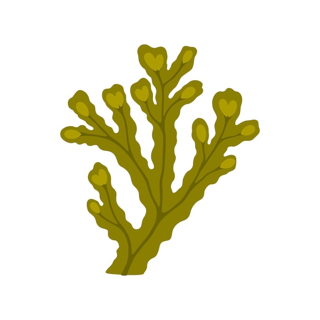 Вектор Филиал подводных морских водорослей, аквариумных водорослей