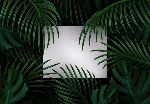 Вектор Пальмовая ветвь реалистичная. листья и ветви пальмовых деревьев. фоновый тропический лист. зеленый лист, узор тропических листьев. рамка белой бумаги пустое место для текста. векторная иллюстрация
