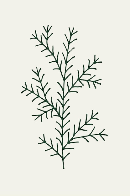 Vector branch of plant hand drawn outline doodle vector icon