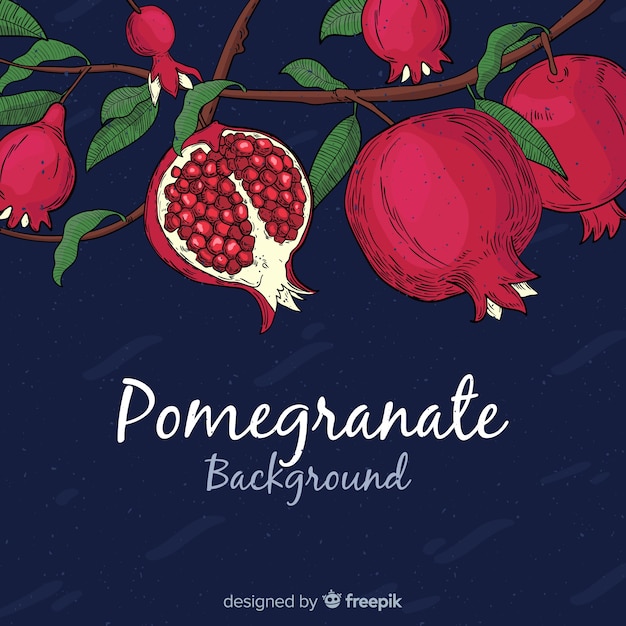 Vector branch pomegranate background