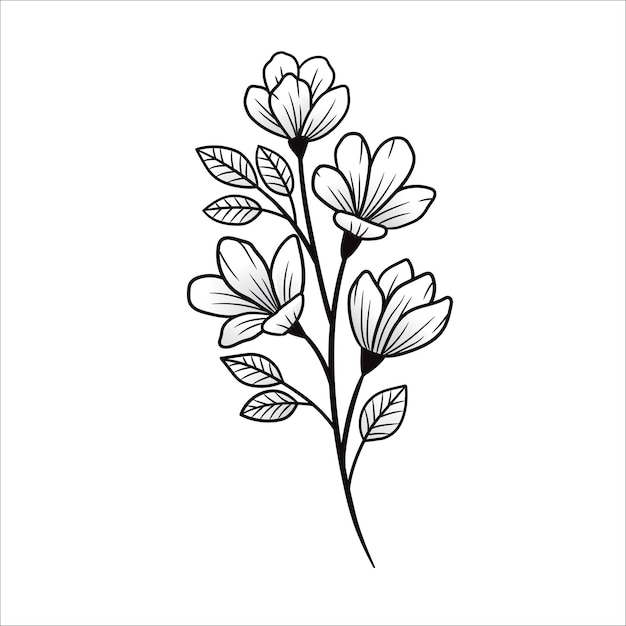 branch sampaguita flower handdrawn