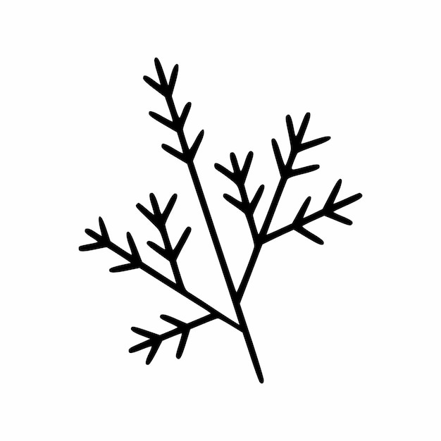 Branch of spruce tree in style of doodle. Vector illustration by hand.