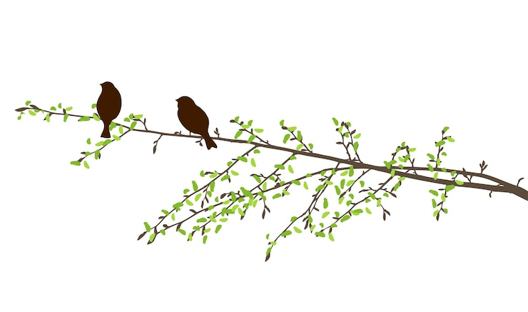Vector branch tree birds spring silhouette sparrows two green leaves vector illustration isolated on white
