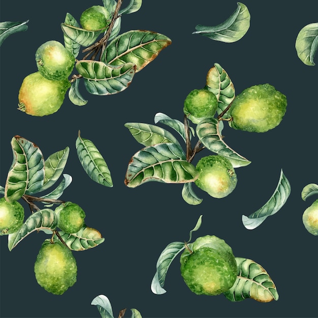 Branch of tree and single guava fruit watercolor seamless pattern isolated on black guajava