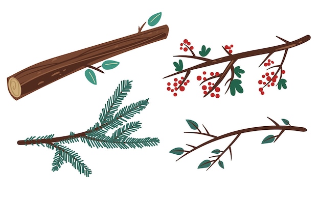 Branch tree twig leaf pine berry isolated set flat graphic design illustration